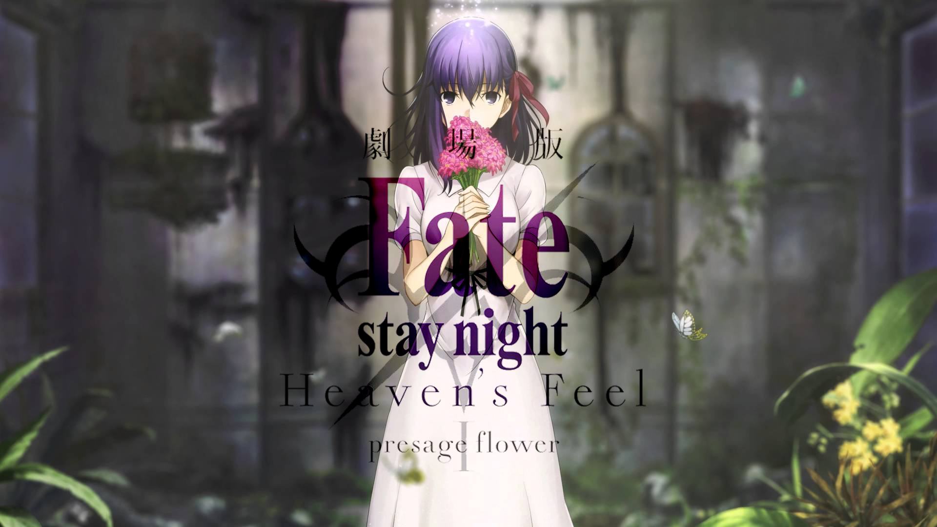 Fate Stay Night, Heaven's Feel, anime, key visual, visual novel