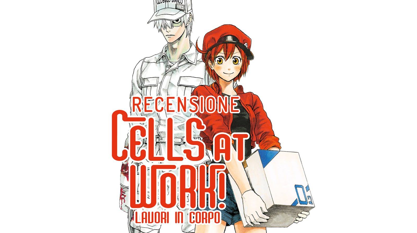 Cells at works