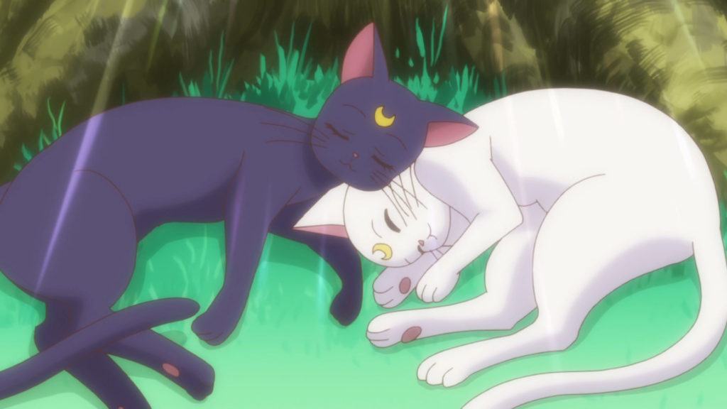 Luna e Artemis - Sailor Crystal