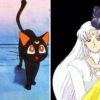 Come si chiama il gatto di sailor moon? Luna, artemis e diana