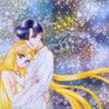 Sailor moon e il principe inutile