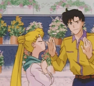 Sailor moon e il principe inutile