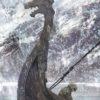 Presentazione dell'anime di vinland saga