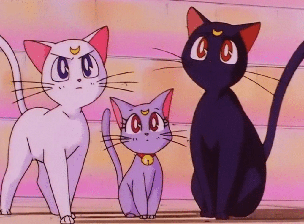 I gatti di Sailor Moon: chi sono Luna, Artemis e Diana