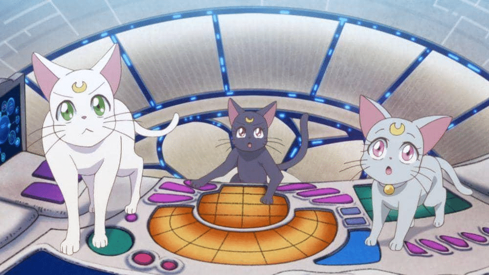 I gatti di Sailor Moon: chi sono Luna, Artemis e Diana