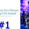 Seishun buta yarou wa bunny girl senpai no yume wo minai [recensione primo episodio]