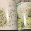 Arriva l'artbook di totoro!