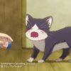 Dokyonin wa hiza: nuovi trailer per la serie anime