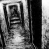 Akumanga: la nuova rubrica del brivido.