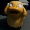 Psyduck ritorna con una serie di gadget e di vestiti!