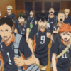 Top 7 giocatori del karasuno Top 7 giocatori del karasuno