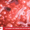 Top 6 morti più orride di cattivi negli anime! Parte 1