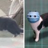 Uno scultore giapponese realizza una figure di un gatto con la mascherina