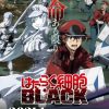 Cells at work! Black: ecco l'anime