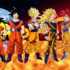 Dragon ball passione funko pop