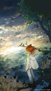 L'occidente e the promised neverland