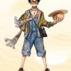 Collaborazione gucci e one piece