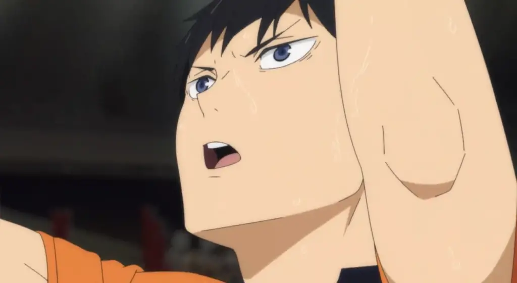 Haikyuu to the top 22