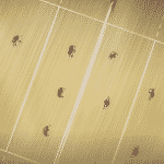 2. 43 seiin koukou danshi volley bu - episodio 11