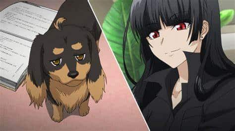 Dog&scissors arriva in formato blu-ray