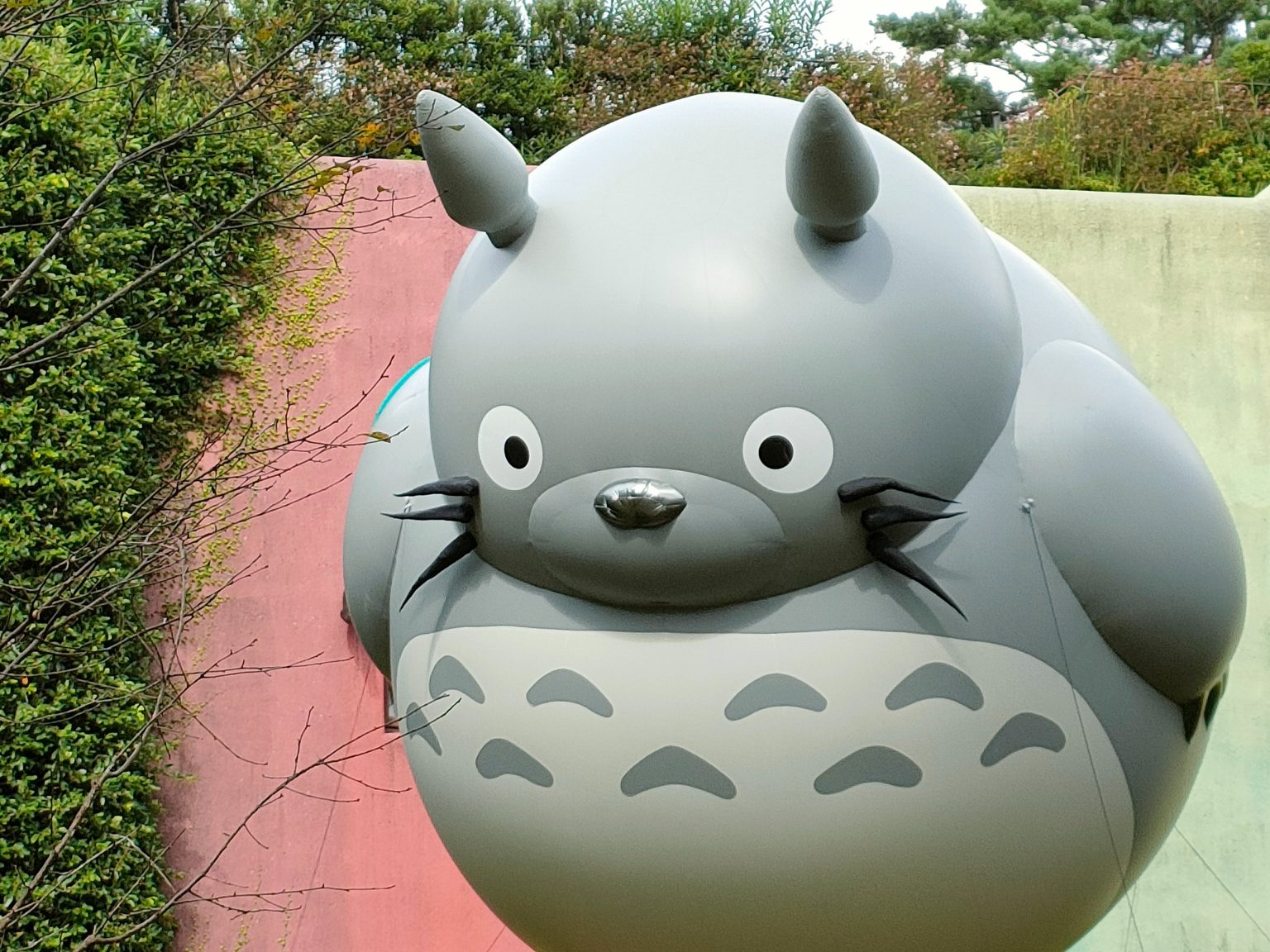 Il museo ghibli compie 20 anni