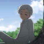 Norman al centro della scena in una novel