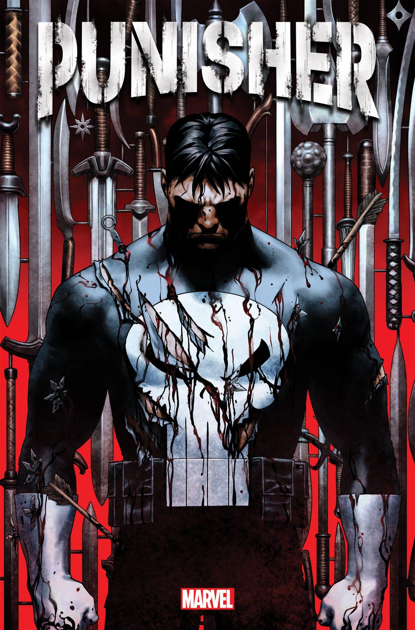 The punisher 1