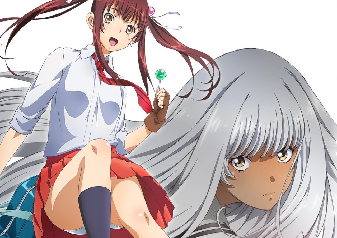 Shin ikkitousen