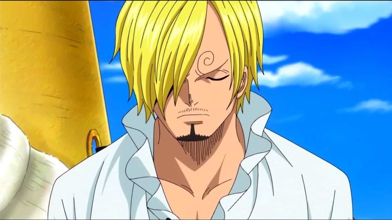 Sanji e rufy in one piece