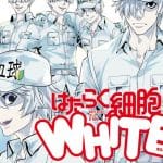 Il manga cells at work! White sta per terminare