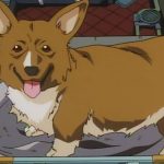 Top 7 migliori anime mai prodotti Top 7 migliori anime mai prodotti