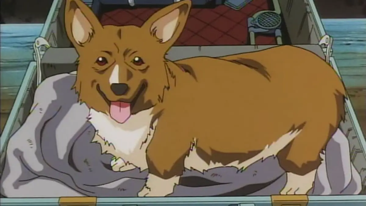 Ein cowboy bebop