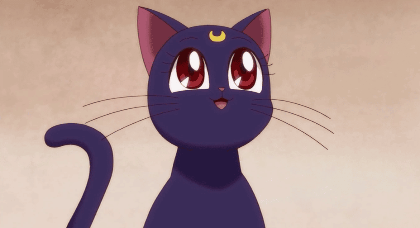 Sailor moon filler: 98 episodi da saltare e quelli da vedere Luna e sailor moon nella serie anime classica