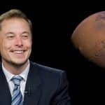 Twitter, un sondaggio tra gli utenti chiede le dimissioni di elon musk da ad del social