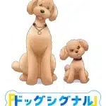 Dog signal, nuove informazioni sull'anime