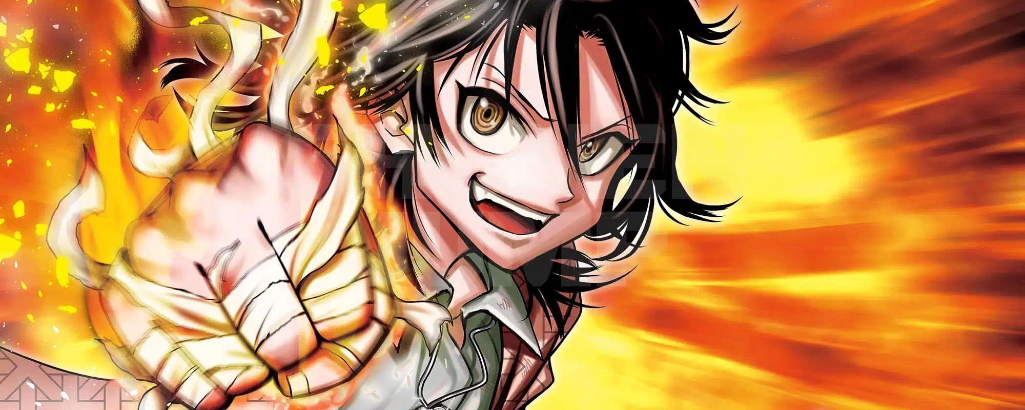Do retry, termina il manga