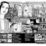Remu a stray cat, nuovo manga in arrivo