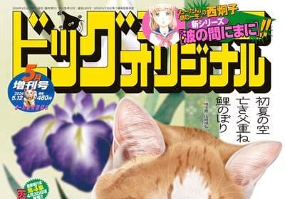 Nue no eshi e kare no mani mani, nuove informazioni sulle opere