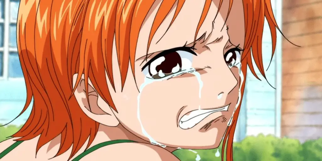 Nami one piece eroi