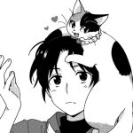 Asa kuwayoshi inizia un nuovo manga