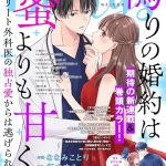 Venice no koi e itsuwari no kon'yaku wa mitsu yori mo amaku, iniziate le serie