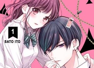 Chihiro-kun only has eyes for me termina con il volume 12