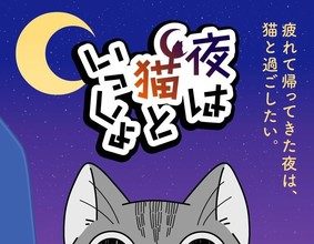 Nights with a cat 3, rivelato un nuovo video