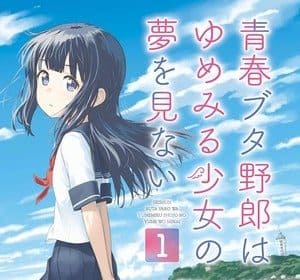 Rascal does not dream of a dreaming girl, termina il manga