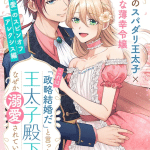 Cocoon e “kore wa seiryaku kekkonda” to itta ō taishi denka kara naze ka dekiai sareteimasu, iniziate le serie