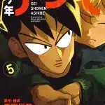 Seishōnen ashibe, termina il manga