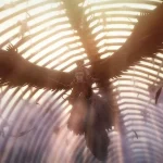 Attack on titan: the last attack è inarrestabile al botteghino Attack on titan: the last attack è inarrestabile al botteghino