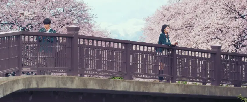 Let me eat your pancreas - la recensione