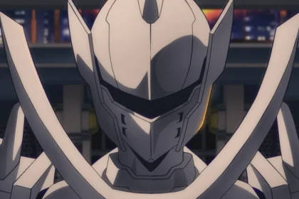 My hero academia: vigilantes