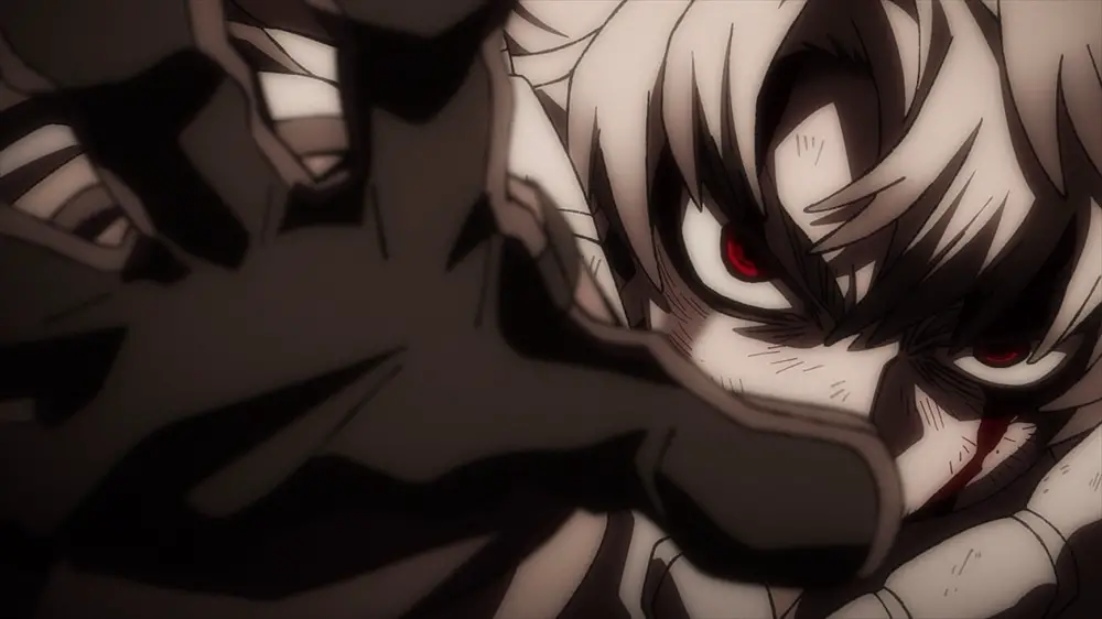 My hero academia: vigilantes